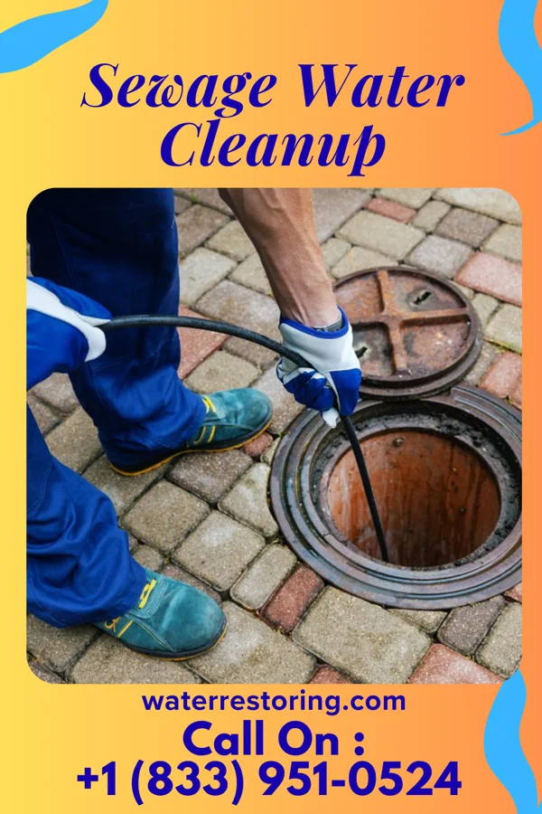Sewage Water Cleanup in Roland, IA